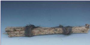 （圖）龍江寶船廠