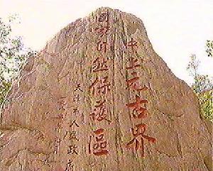 九龍山國家森林公園