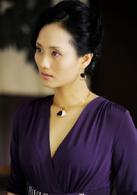 美麗謊言[2014年金韜執導電視連續劇]