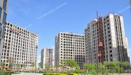 星悅國際 星悅國際