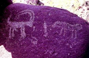 克爾鹼岩畫和水系圖 克爾鹼岩畫和水系圖