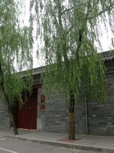 柳樹胡同 柳樹胡同