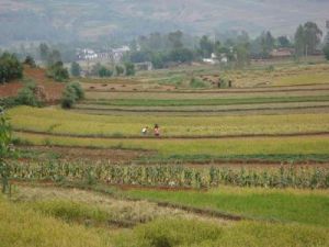 馬家田村 馬家田村