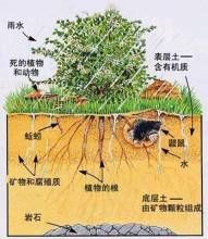《土地荒漠化監測方法》