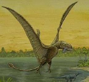 雙形齒獸 雙形齒獸