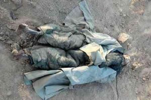 清鄯善乾屍 清鄯善乾屍