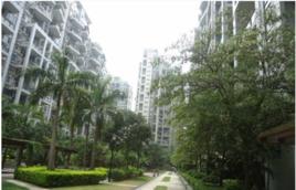 鼎太風華 鼎太風華