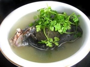 鱉肉豬髓湯