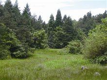 四明山高山濕地