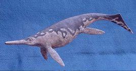 杯椎魚龍 杯椎魚龍