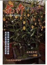 《花卉》 《花卉》