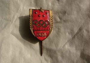 體育收藏品 體育收藏品