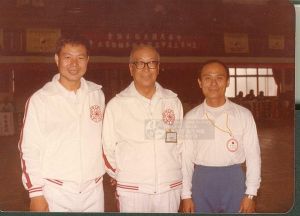 王鶴林[台灣陳氏太極拳的主要推廣者之一]