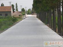 姚莊村[浙江省嘉善縣姚莊鎮下轄村]