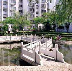 格林假日 格林假日