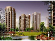 博威香檳小鎮效果圖