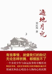 《遍地月光》 《遍地月光》