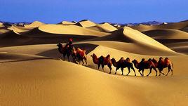 絲路駝鈴 絲路駝鈴