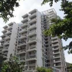 泰山名座 泰山名座