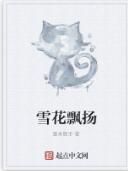 雪花飄揚