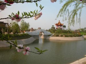 蘇通生態觀光園 蘇通生態觀光園