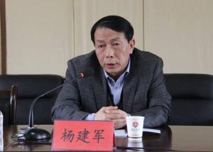 楊建軍[陝西省國土資源廳總工程師]