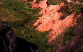 郯城地震 郯城地震