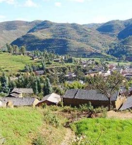 大上片村 大上片村