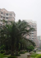 科匯小區 科匯小區