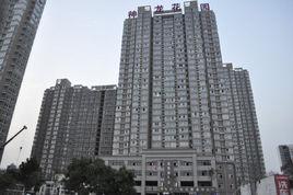 神龍花園 神龍花園