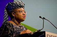 恩戈齊&middot;奧孔約&middot;伊維拉