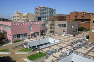 日本京都醫療科學大學 日本京都醫療科學大學