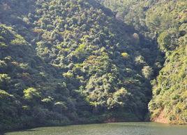 雲南玉溪黃草壩 雲南玉溪黃草壩