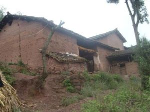 箐頭上村 箐頭上村