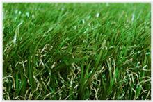 人工草坪