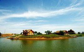 金沙村[山西省侯馬市上馬鄉金沙村]