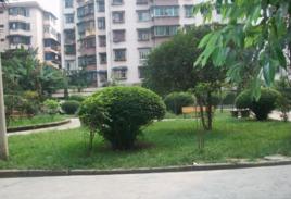 倍特楓林苑 倍特楓林苑