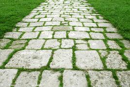 鋪路石精神 鋪路石精神