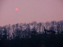 南華山神鳳文化景區