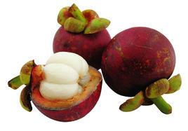 山竹提取物 山竹提取物