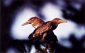 東洞庭湖自然保護區