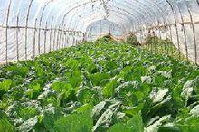 隕石山國家森林公園