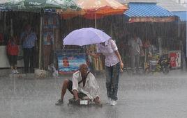 最美撐傘少女 最美撐傘少女