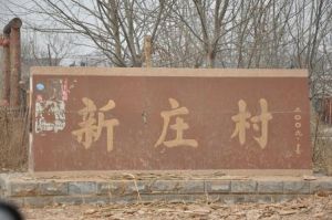 新莊村 新莊村