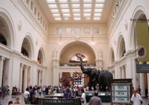 菲爾德自然歷史博物館 菲爾德自然歷史博物館