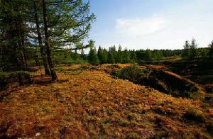 好森溝國家森林公園