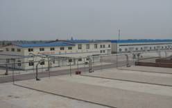 山東農興種業有限責任公司