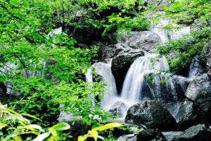 堯山國家級自然保護區