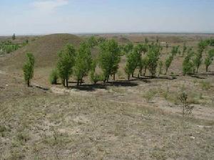 神堂坪村 神堂坪村