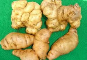 生地黃丸 生地黃丸